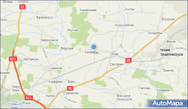 mapa Fabianów, Fabianów gmina Nowe Skalmierzyce na mapie Targeo